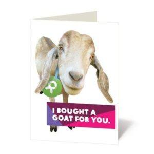 Oxfam goat