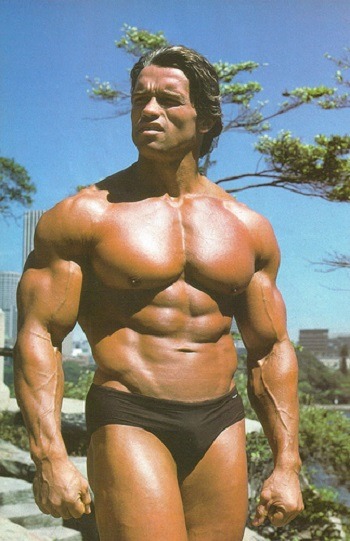 mr universe arnold schwarzenegger